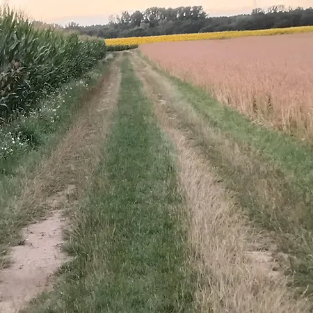 Apartamento Am Kranzer Grosslangheim