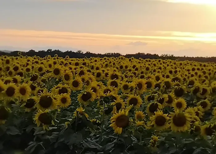 Am Kranzer 아파트 *