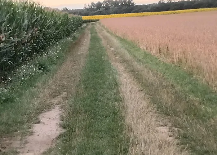 아파트 Am Kranzer Grosslangheim